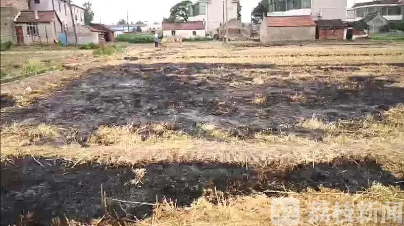 ■江苏省生态环境厅公布今夏秸秆焚烧“第一把火”