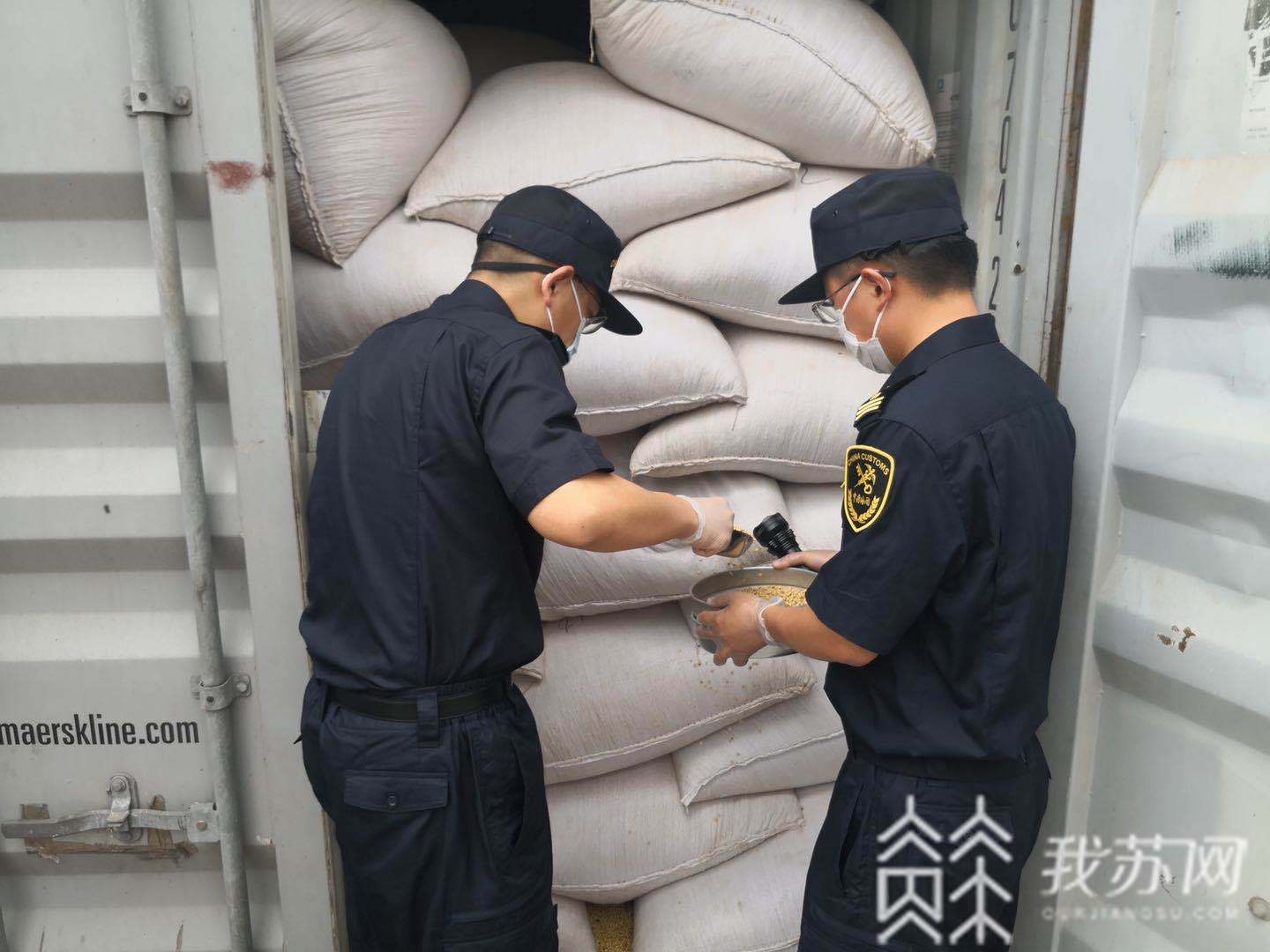 [进口]将陆续进口2000吨左右 第一批非洲贝宁大豆到达江苏口岸
