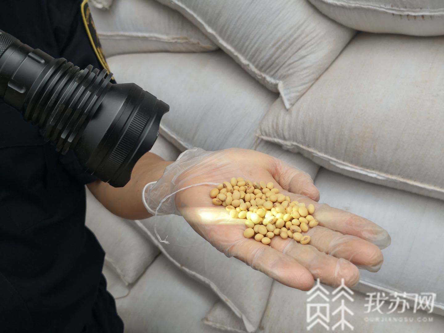 [进口]将陆续进口2000吨左右 第一批非洲贝宁大豆到达江苏口岸