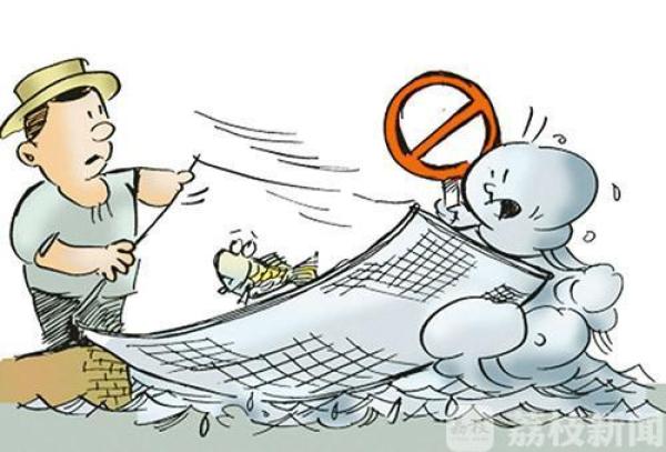 禁止的情况下,仍购买快艇及电捕鱼工具,多次在长江南京段水域实施非法