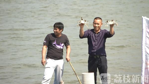 终于等到你！个头大、总产量提升 阳澄湖大闸蟹今年预计有480万只