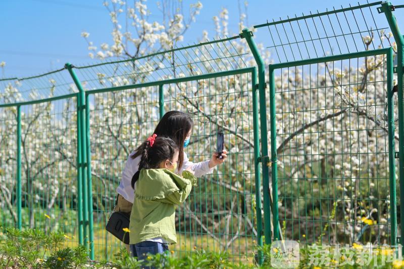 「旅游业」 苏州旅游业“复苏” 春至江南
