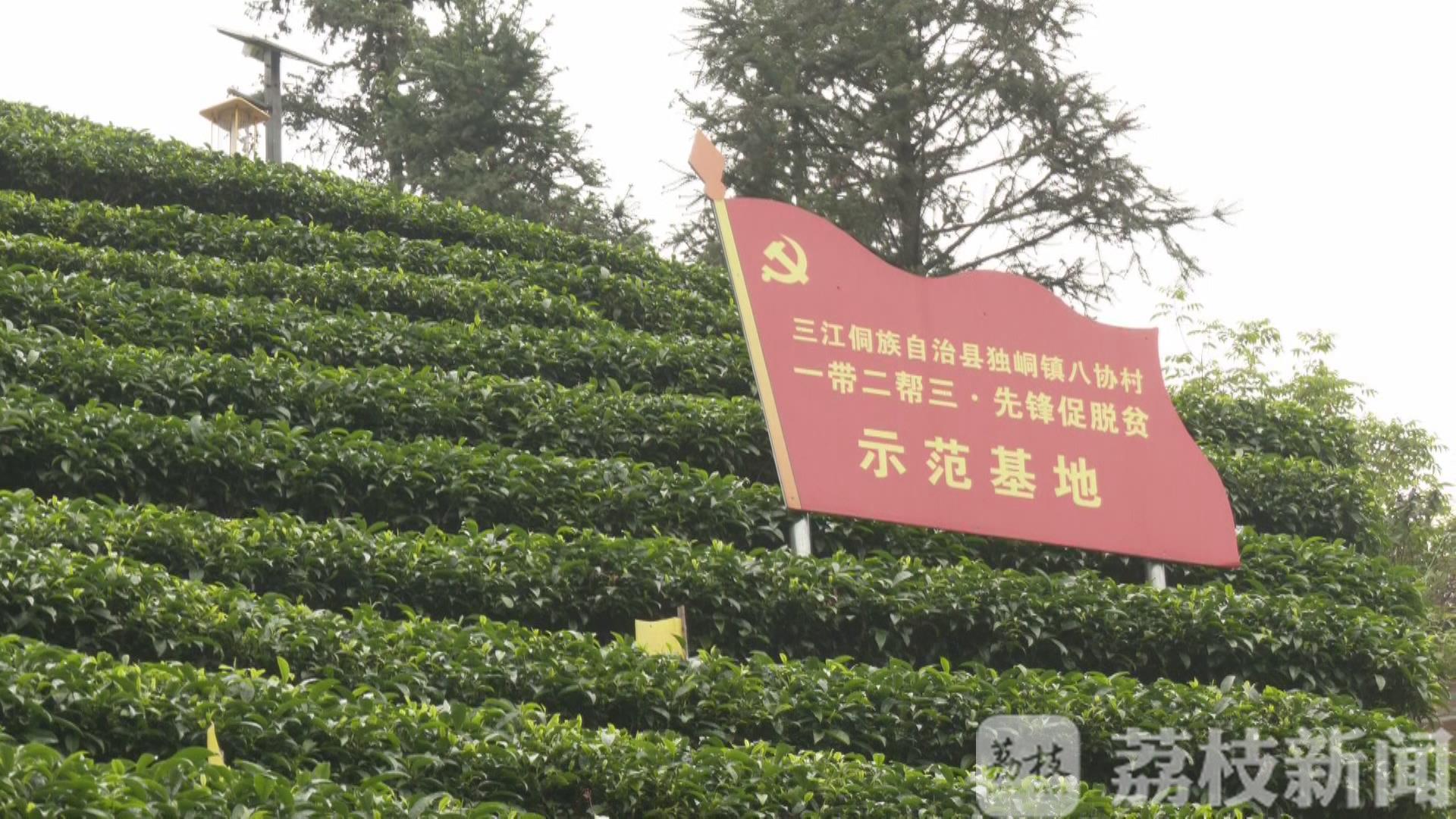 脱贫■定点帮扶,江苏边检总站为广西独峒镇脱贫攻坚出谋划策