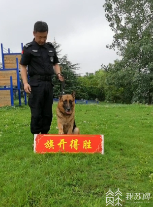 警犬■这份特殊的高考祝福请收下：来自最帅的“狗子们”