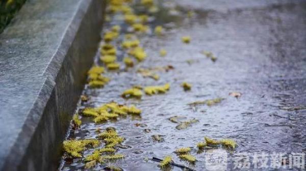 暴雨■“梅姑娘”继续发威：新一轮暴雨在路上，一下就是4天！