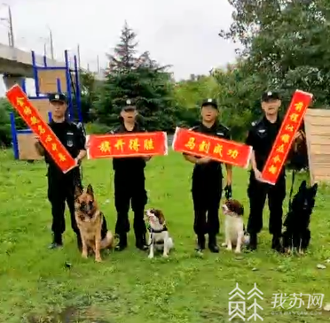 警犬■这份特殊的高考祝福请收下：来自最帅的“狗子们”