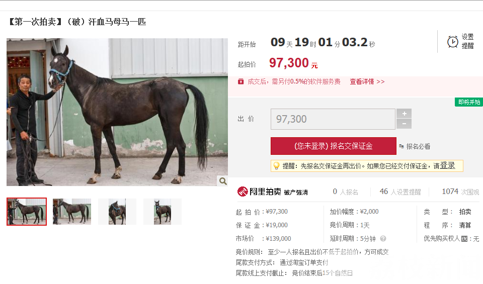 拍卖@但可不是想买就能买 “汗血宝马”9.37万起拍