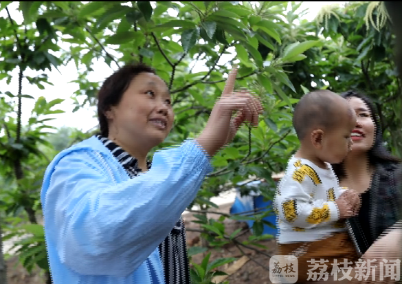 「旅游」融出向往的生活|品读乡村之美 六合竹镇：农业“牵手”旅游