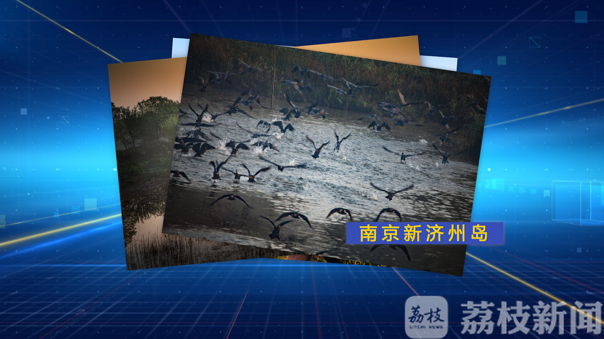 「生态」江苏全面推行增殖放流实现生态再平衡 非法捕捞破坏生态