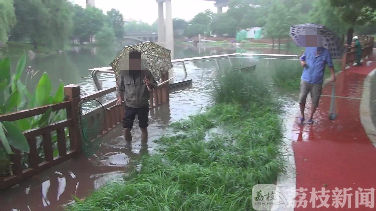 【冒险】冒险“捕鱼”忙 危险！金川河涨水