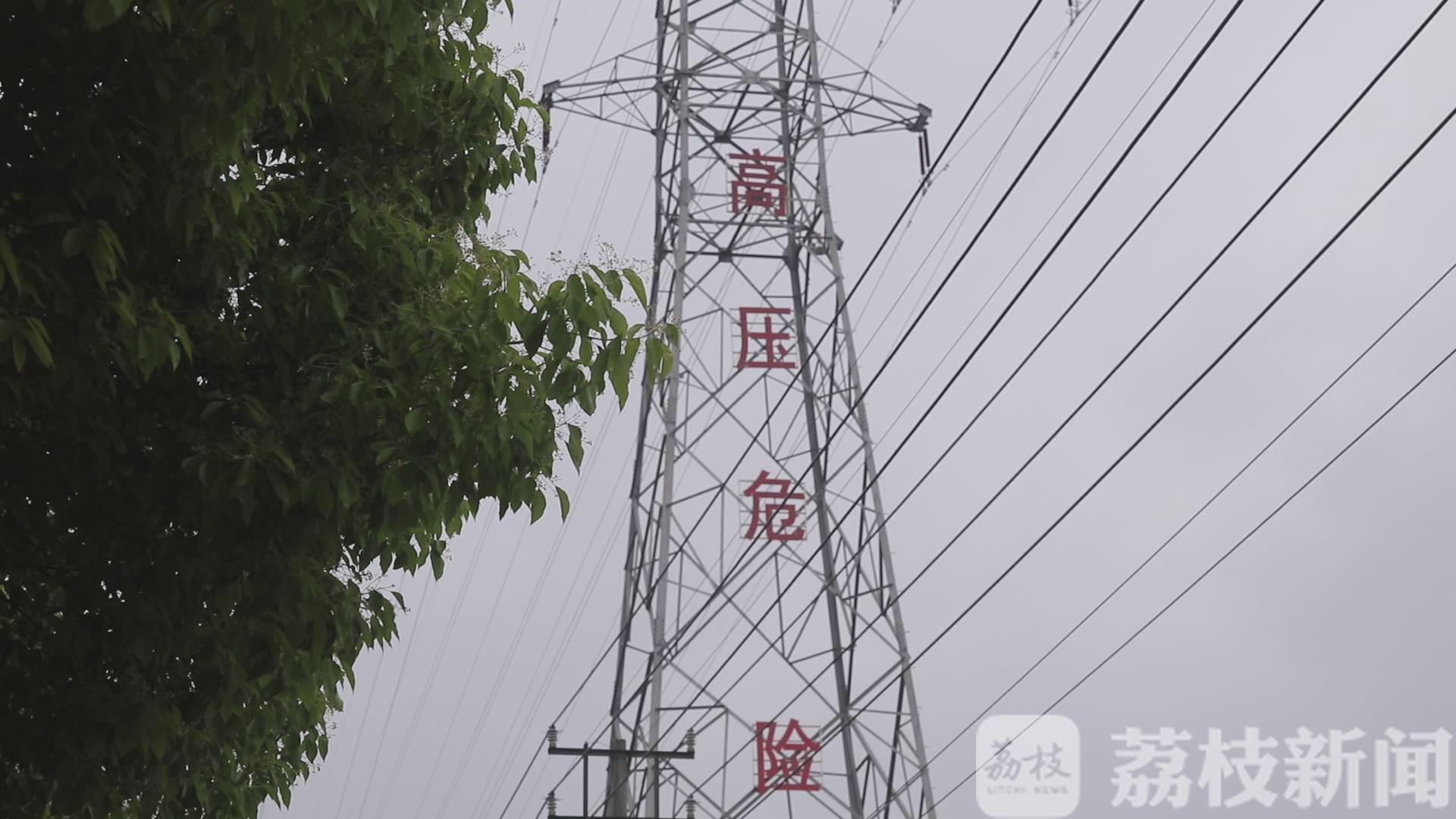 架子工：触电身亡 架子工高压电线下拆毛竹