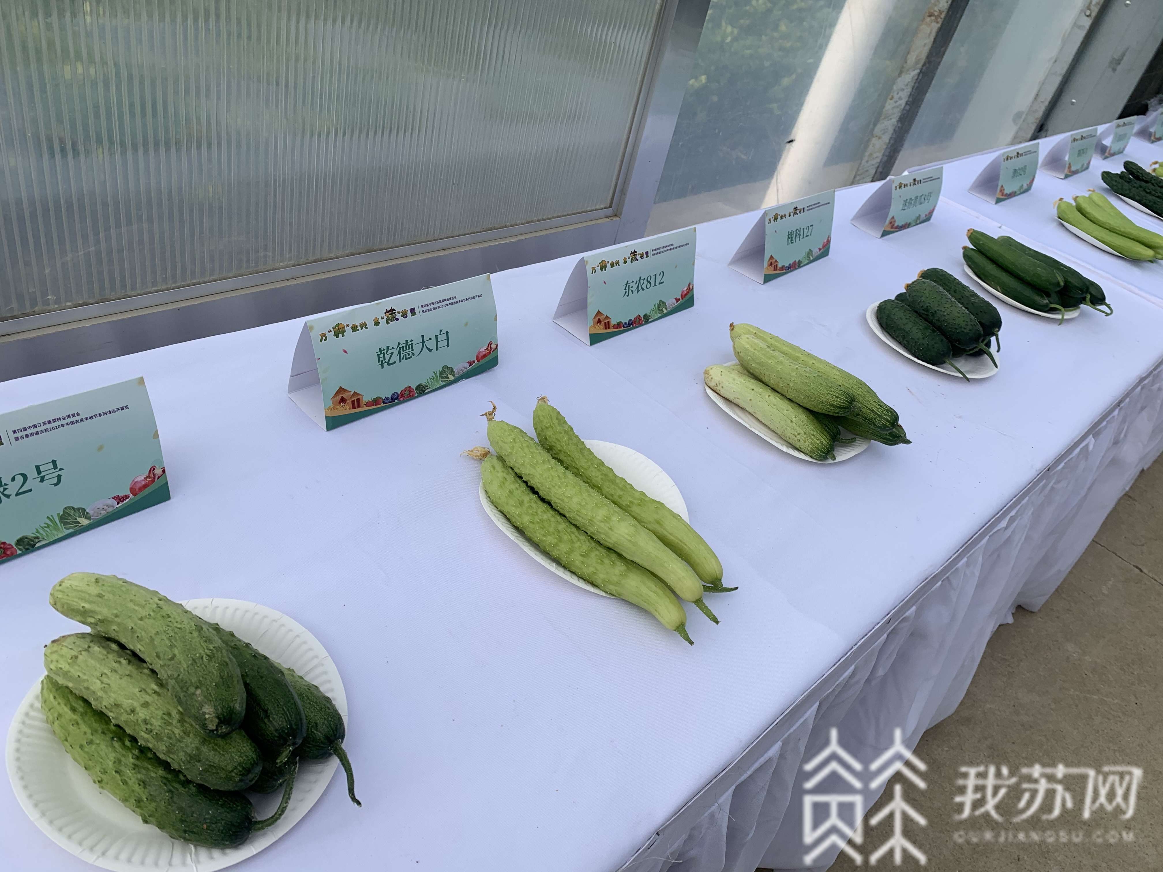 蔬菜■蔬菜行业的盛会来了！一大批新技术、新装备、新产品亮相