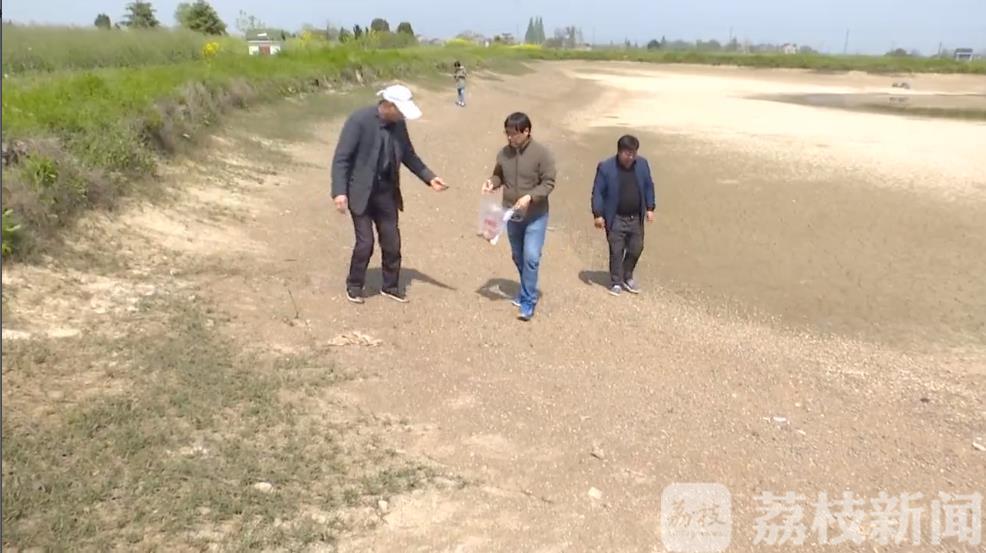 村民：竟是新石器时代石器 村民地里捡到俩“石块”