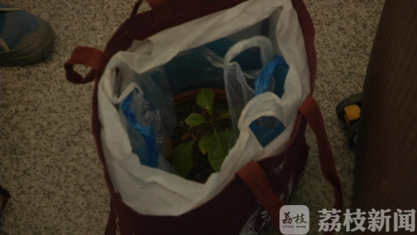 回家的礼物：家乡的味道“刚刚好”