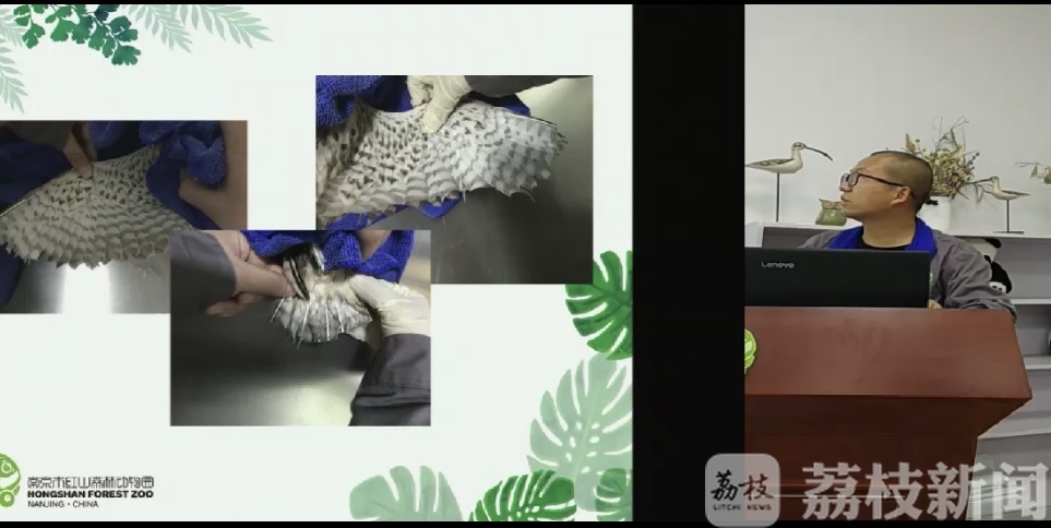 爱鸟周■爱鸟周，线上讲座教你和动物做朋友