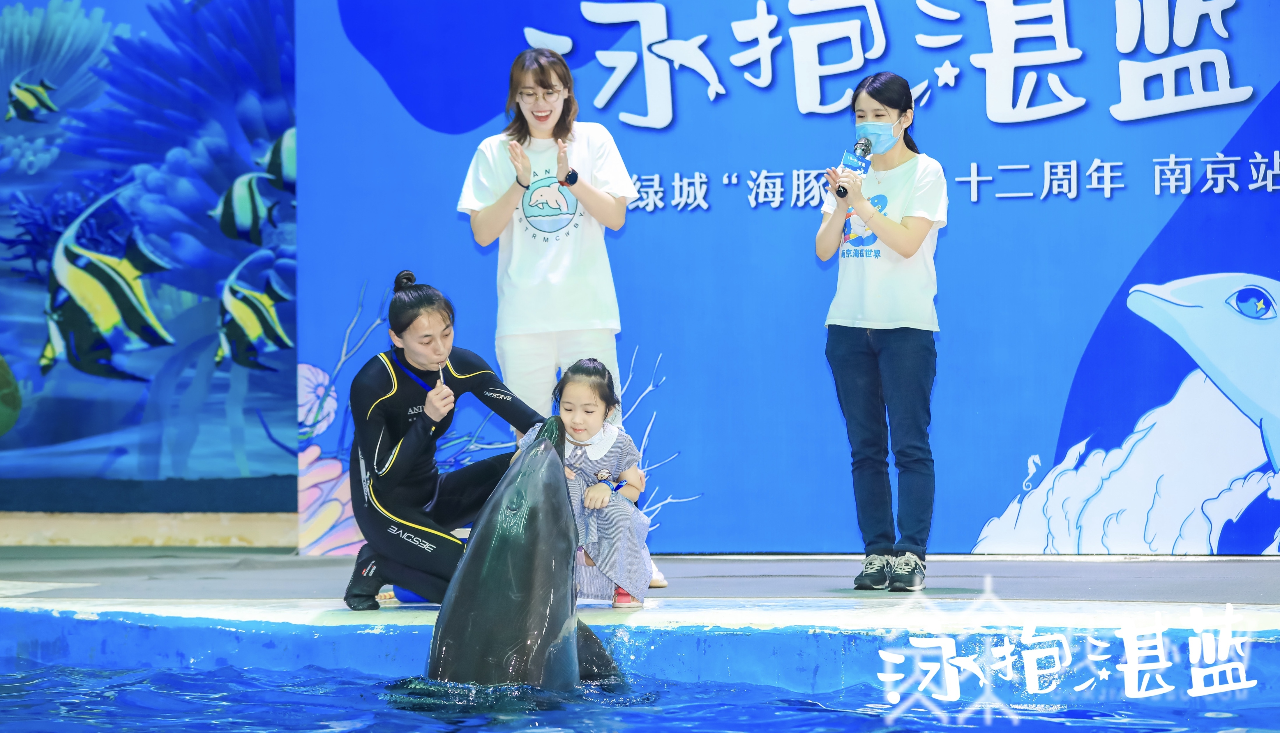 计划■我也想做个小海豚!这个老牌计划坚持12年帮助超15万名青少年快乐畅游