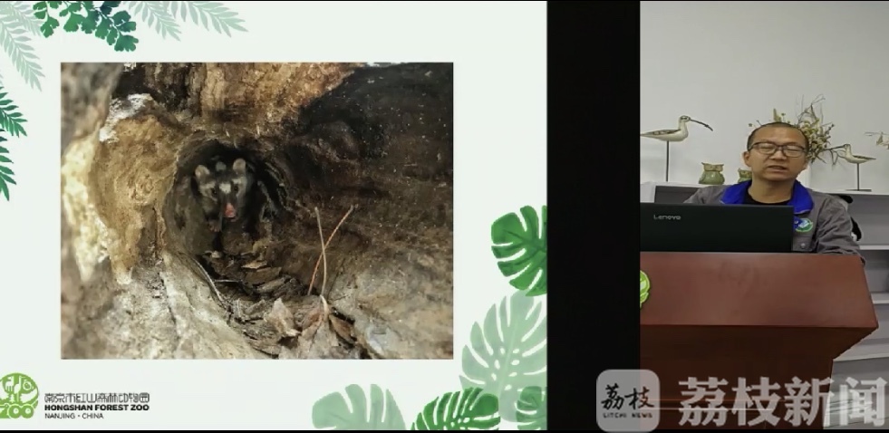 爱鸟周■爱鸟周，线上讲座教你和动物做朋友