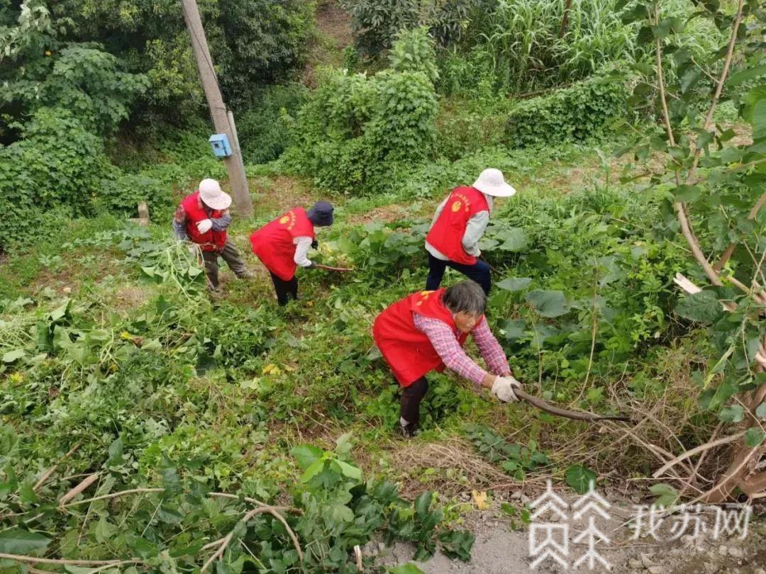 防汛■全力抗洪,江苏巾帼撑起防汛“半边天”|防汛抗灾第一线