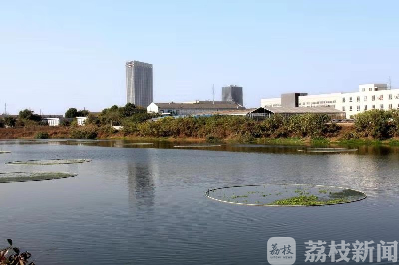 『河道』扬州邗江这条河如何逆袭？ “龙须沟”变“样板河”