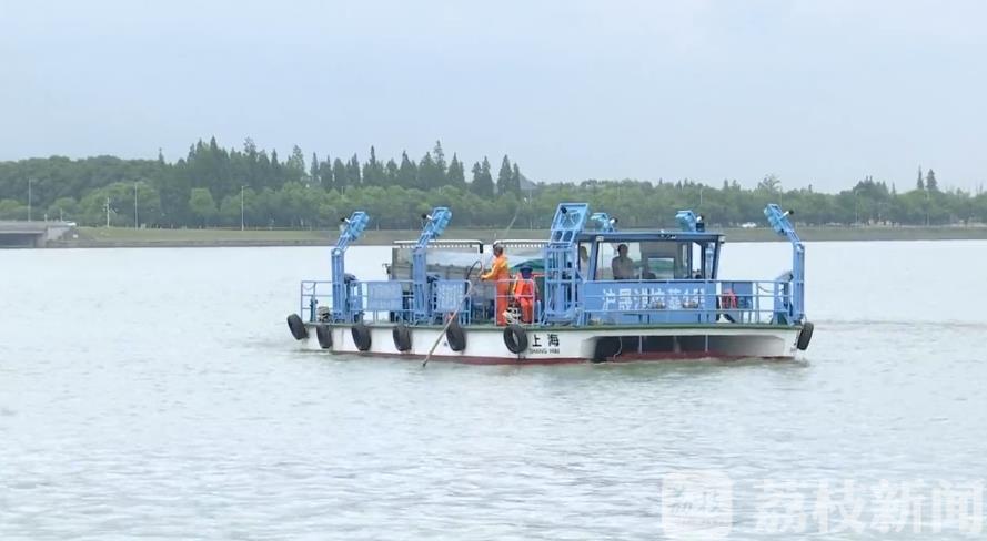 淀山湖■联防联控有成效！苏沪携手推进淀山湖生态共治
