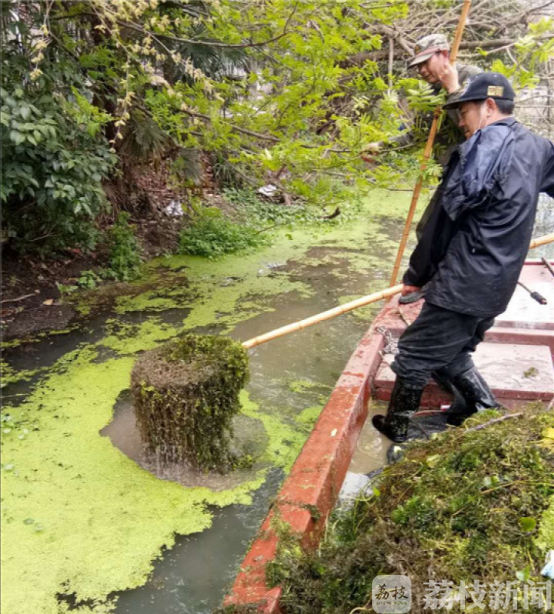 水草■水草泛滥影响水质怎么办？南通濠河想出这一招！