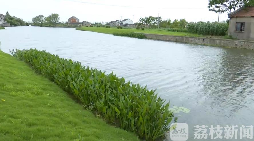 淀山湖■联防联控有成效！苏沪携手推进淀山湖生态共治