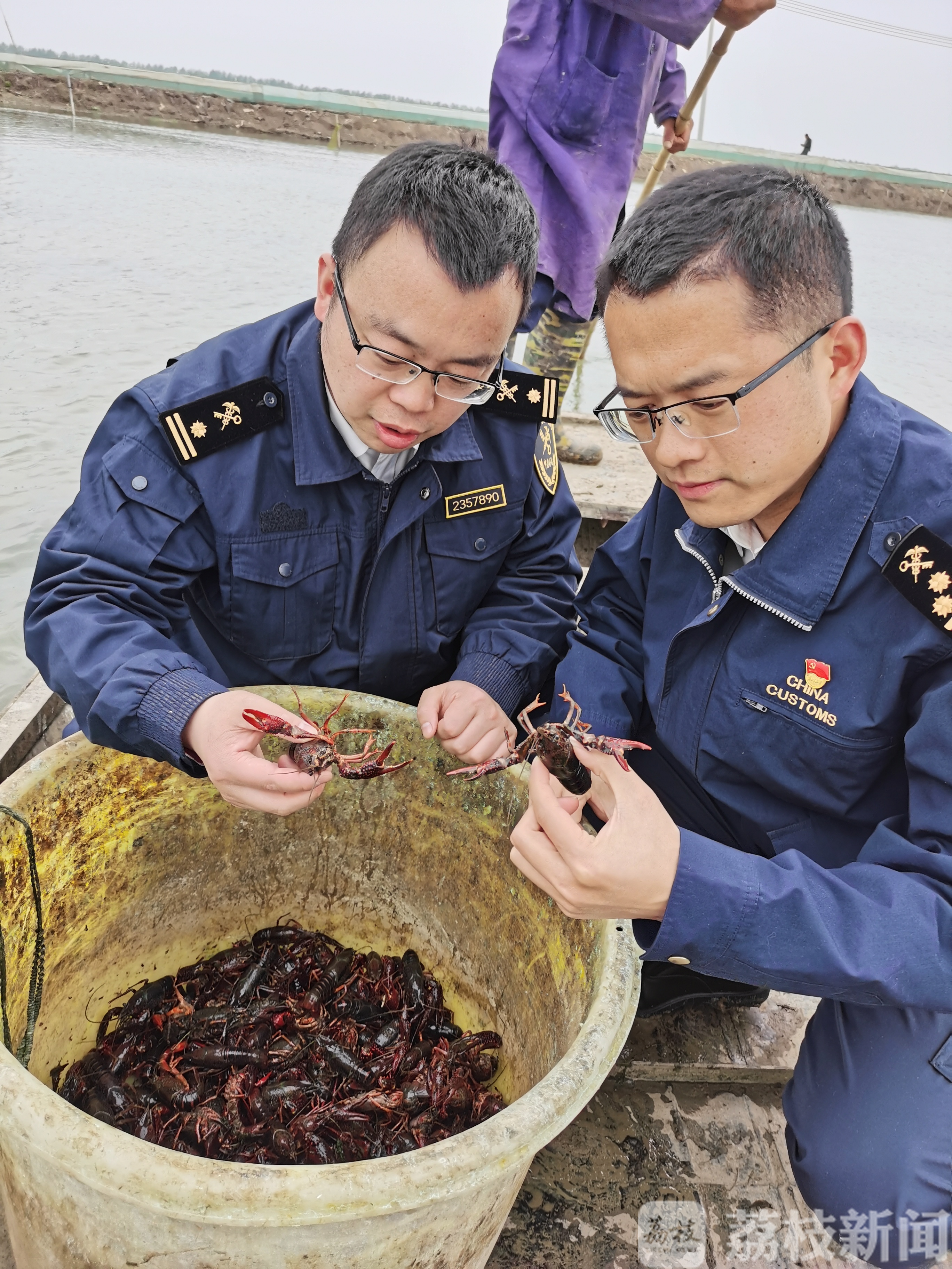 龙虾■体检结果：健康！这个让你流口水的美食，从江苏走向世界