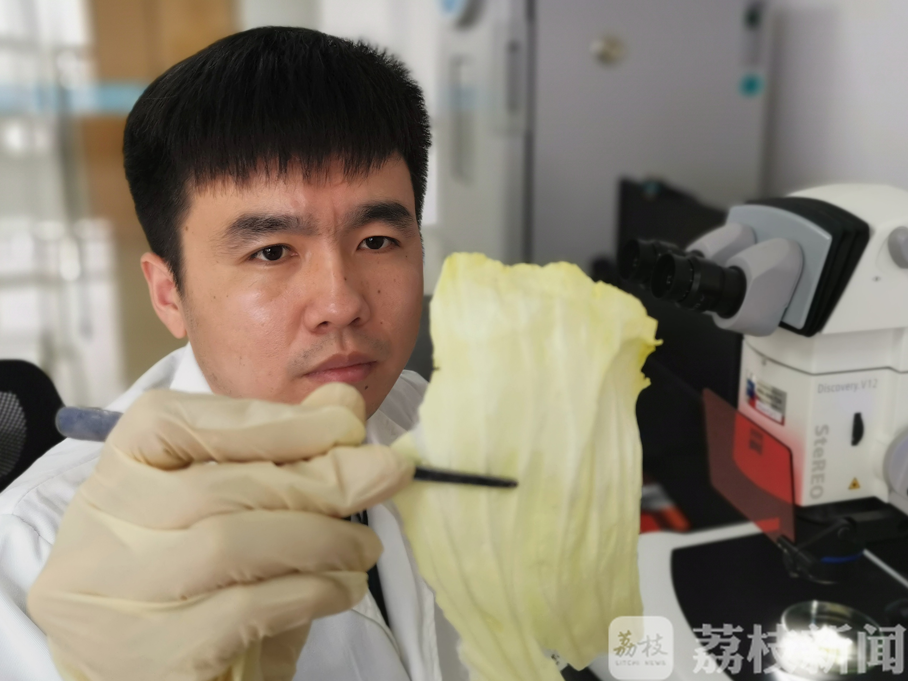 蔬菜■海外的朋友想吃新鲜的中国蔬菜，只需要这几步