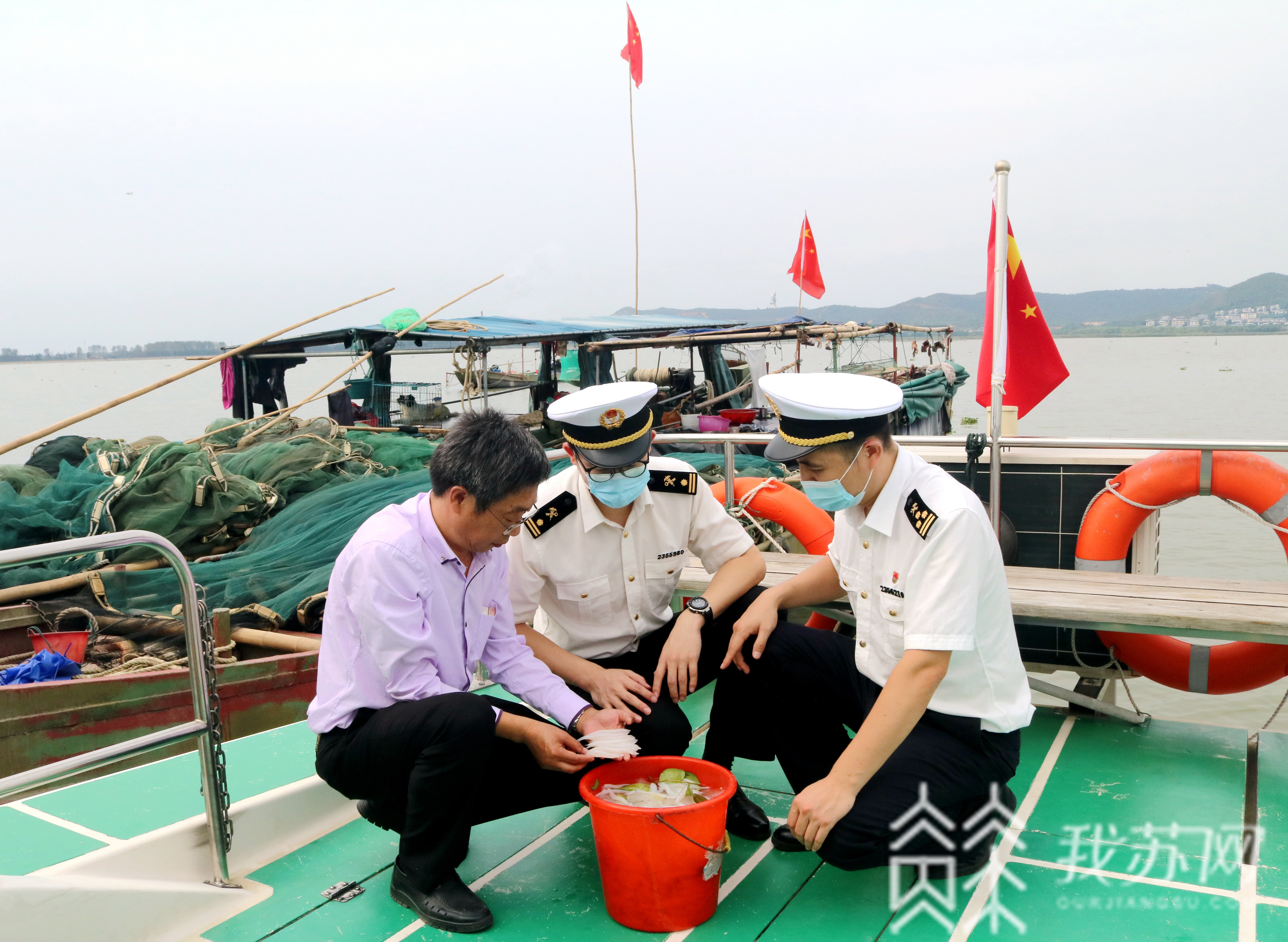 银鱼■新鲜银鱼来了！常州美味加速游向全球