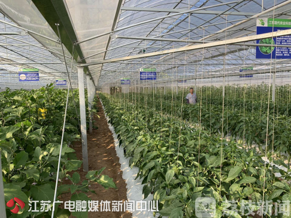 算好这笔改革经济账  江苏农村农业大变样