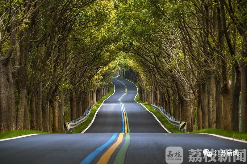 江苏■刚刚！江苏未来三十年交通蓝图定了！