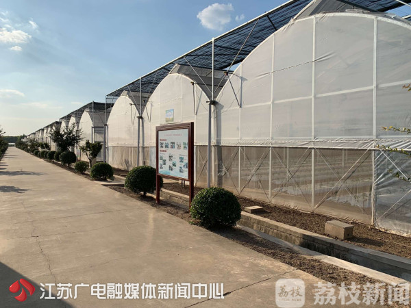 算好这笔改革经济账  江苏农村农业大变样