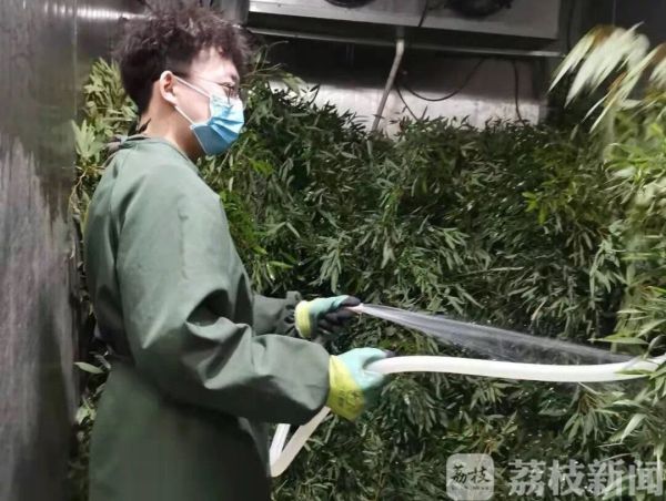 江苏多地动物园暂时闭馆！避免交叉感染