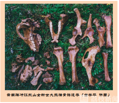 进展■2019年度中国古生物学十大进展在南京发布