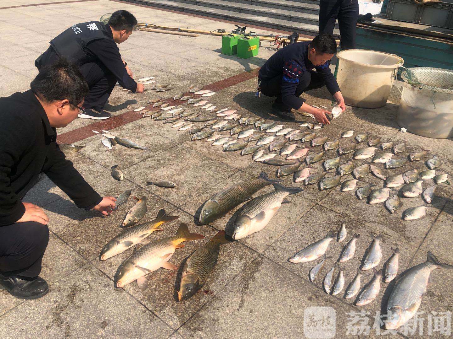 长江■长江保护区电鱼300多斤,抓!