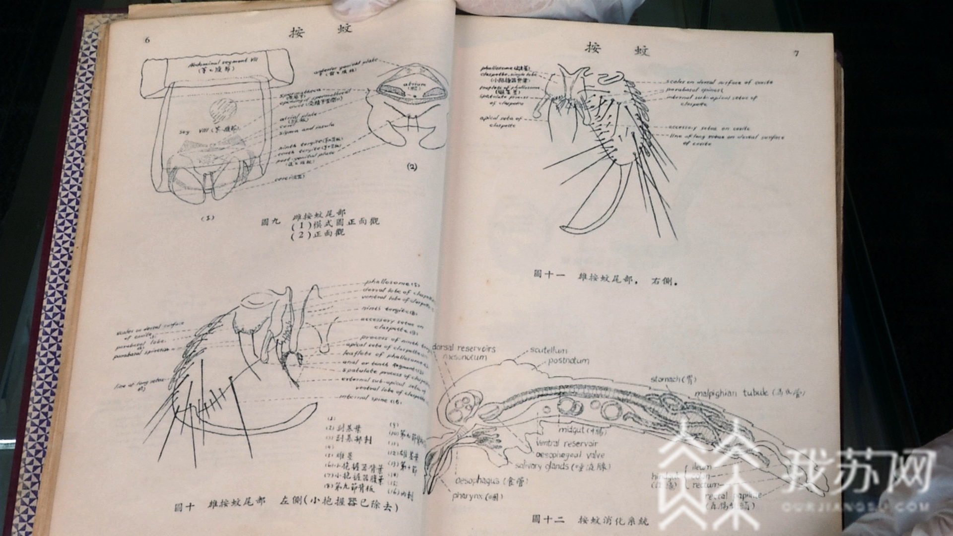 ■南医大：藏着我国医学史上数个第一|你所不知道的高校图书馆
