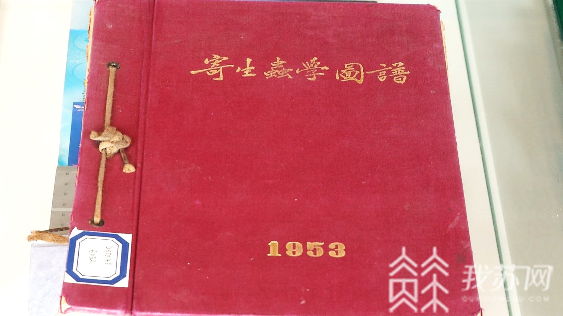 ■南医大：藏着我国医学史上数个第一|你所不知道的高校图书馆