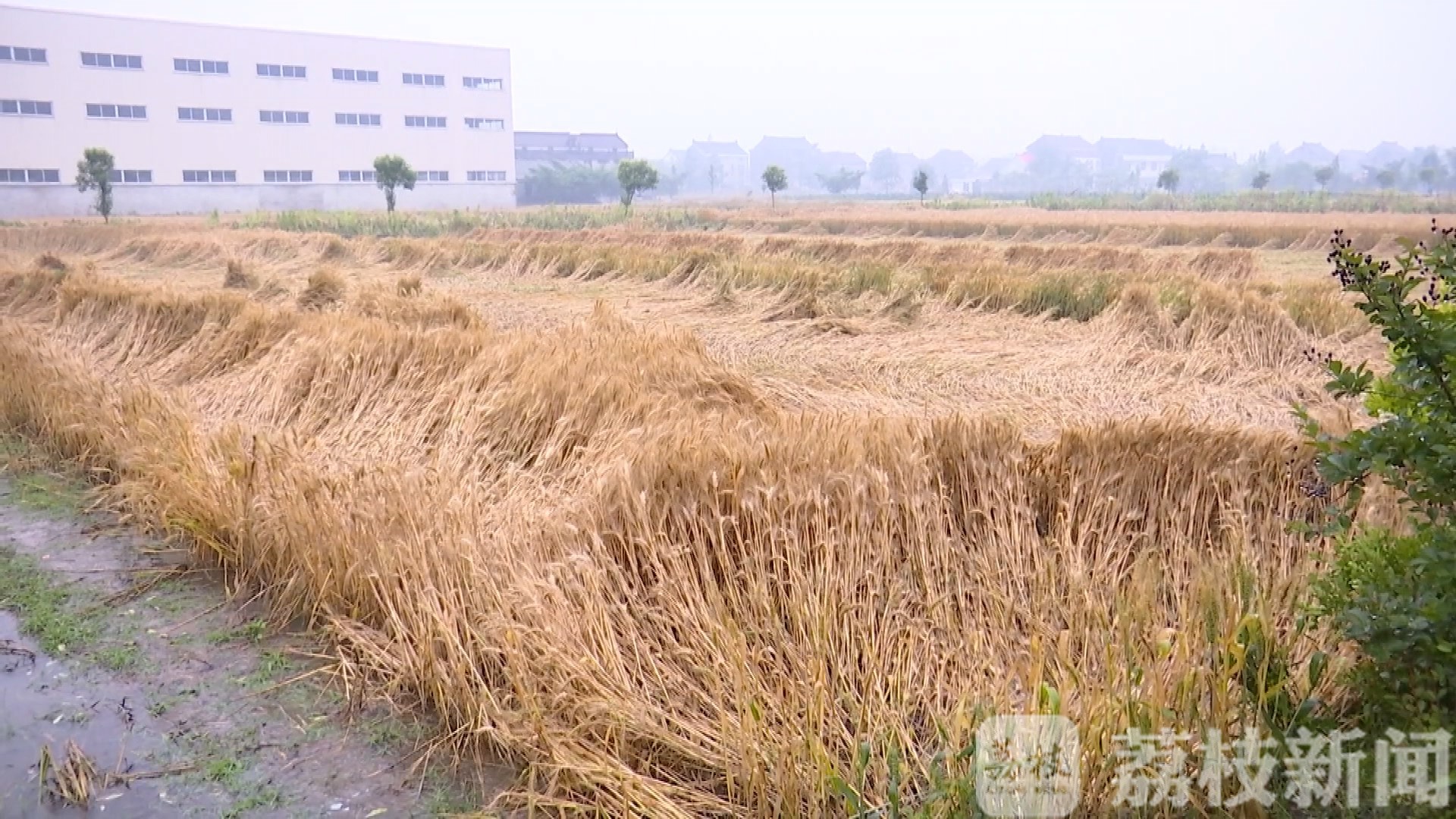 江苏■暴雨来袭：加派人手、连夜疏导，江苏各地全力防汛