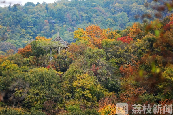 南京栖霞山迎秋游高峰期 层林尽染秋意渐显