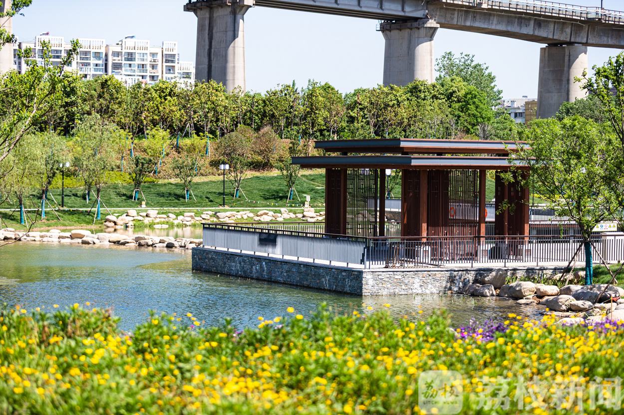 「秦淮」南京明外郭—秦淮新河百里风光带又添新景 7万多平米“花海观郭”建成