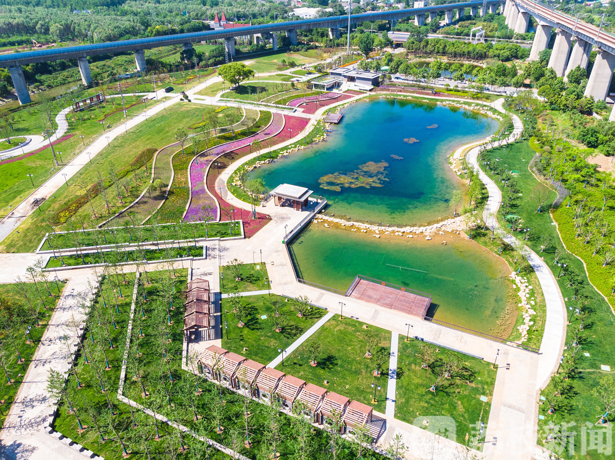 「秦淮」南京明外郭—秦淮新河百里风光带又添新景 7万多平米“花海观郭”建成