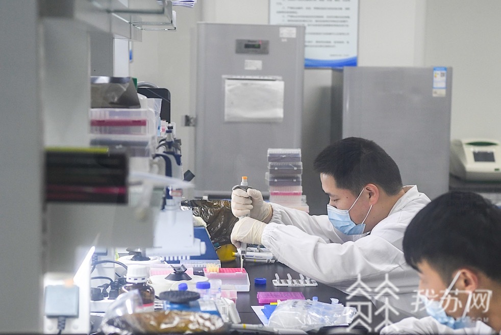 江苏■读懂一周年成绩单丨以高端生物医药产业为引擎，江苏自贸区新兴产业加速崛起