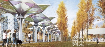 文化艺术■又添网红街巷!南京建邺银杏里文化艺术街区举行首届文化艺术周