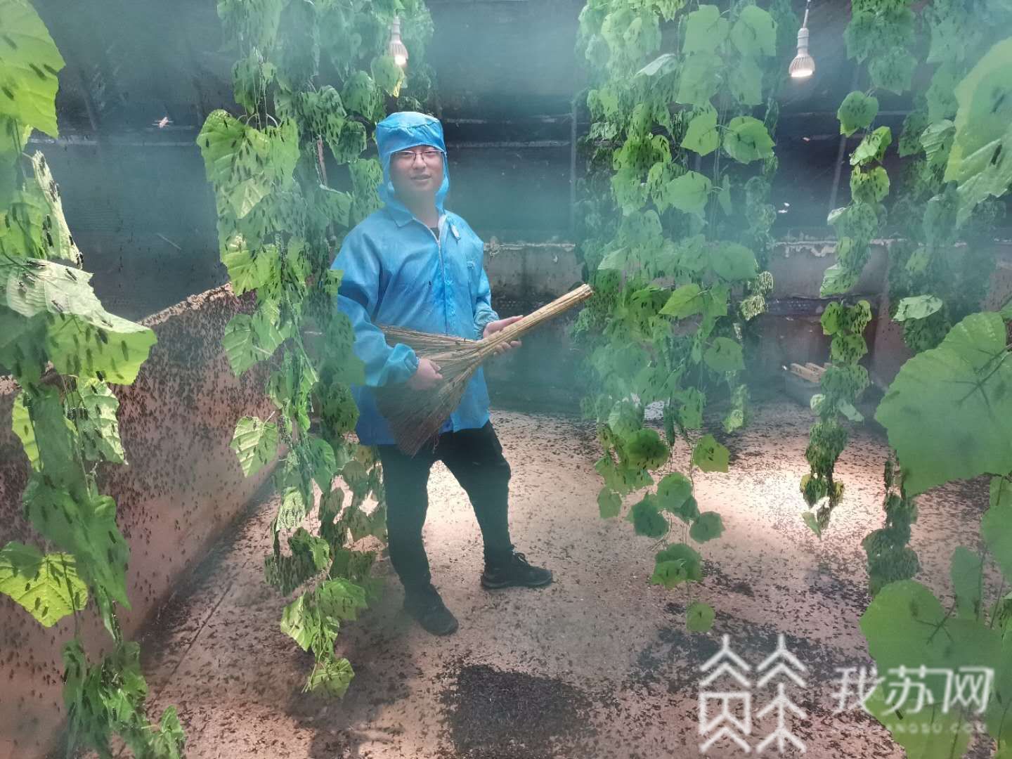 『垃圾』难怪两位小哥哥弃白领工作去养虫！ 这种虫一吨能吃五吨垃圾
