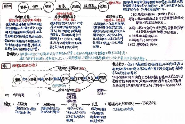 花式学霸笔记来袭 印刷体、素描体还有文艺小清新