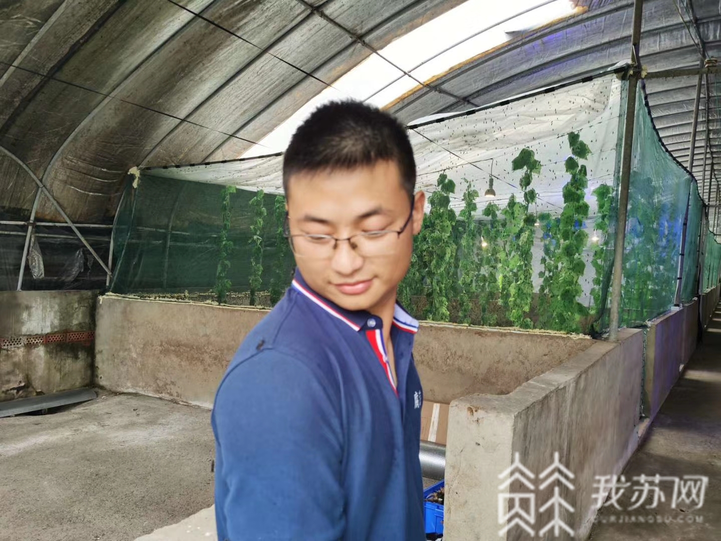 『垃圾』难怪两位小哥哥弃白领工作去养虫！ 这种虫一吨能吃五吨垃圾