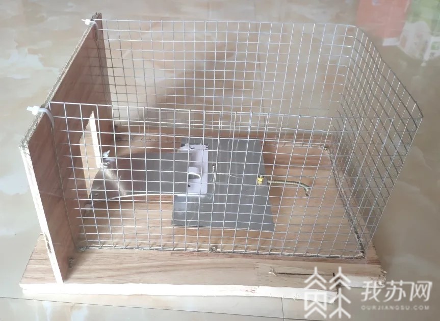 捕鼠■暑期社会实践脑洞大开！捕鼠创新武器大赏