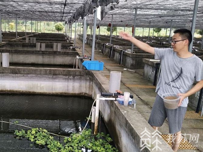 三下■校企农深度融合，大学生“三下乡”汇聚乡村振兴合力