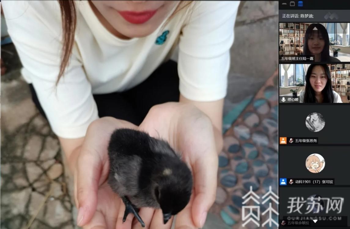 三下■校企农深度融合，大学生“三下乡”汇聚乡村振兴合力