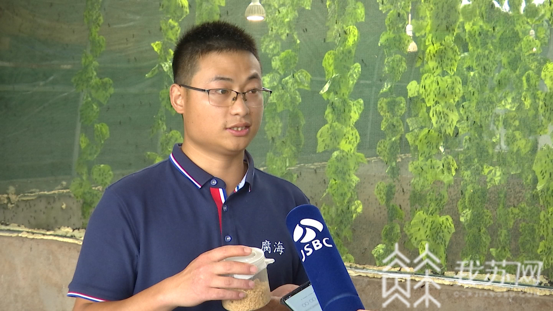 『垃圾』难怪两位小哥哥弃白领工作去养虫！ 这种虫一吨能吃五吨垃圾
